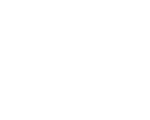 DG SRL